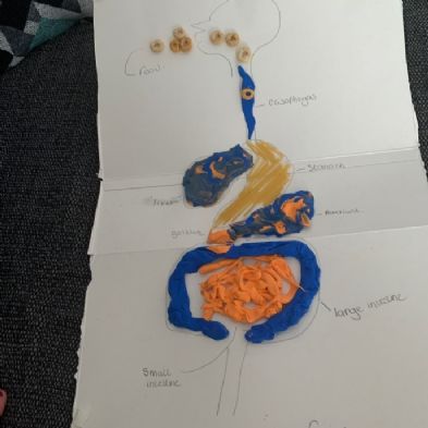 tsa_HomeLearningScience (47)